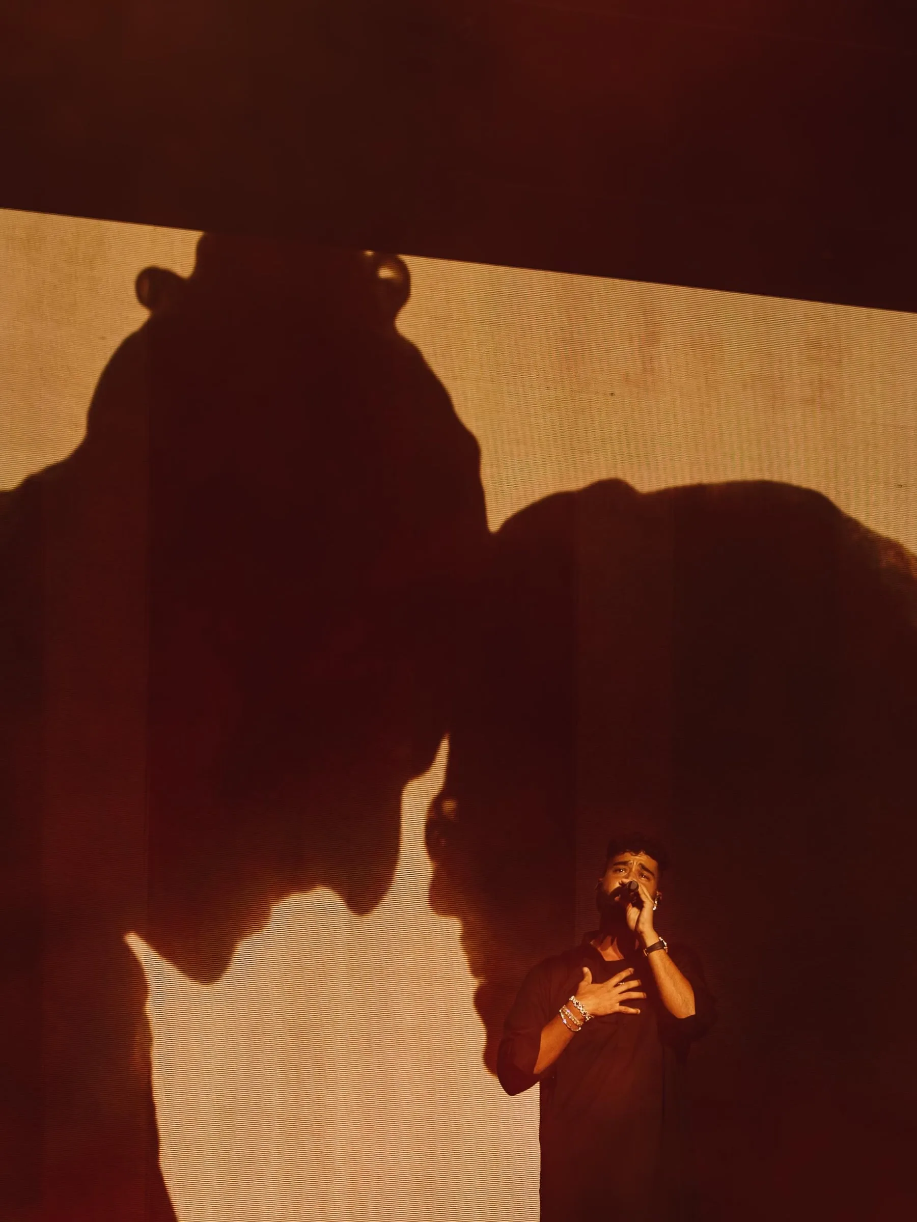 Silhouette against a warm-toned screen during the set
